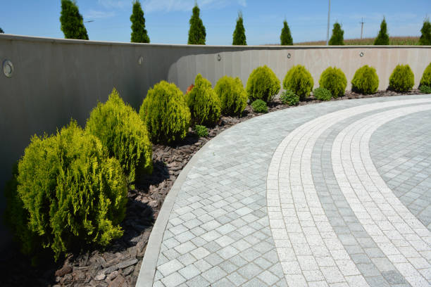 Reasons to Select Us for Your Driveway Paving Requirements in Bigfoot, TX